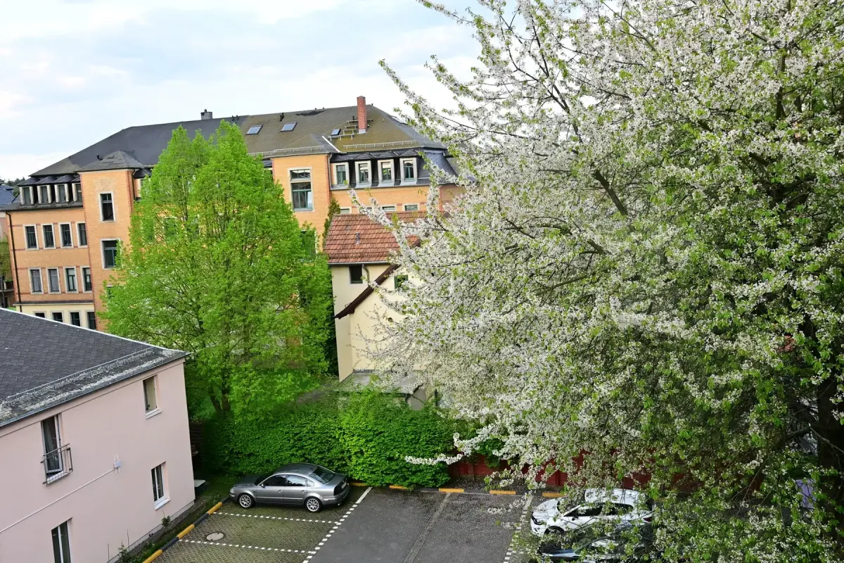 Hotel Amadeus - Image 11
