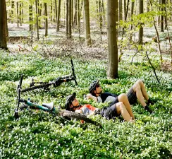 werrapark-resort-hotel-heubacher-hohe-5-tage-mountainbike-touren-im-thuringer-wald-mit-halbpension