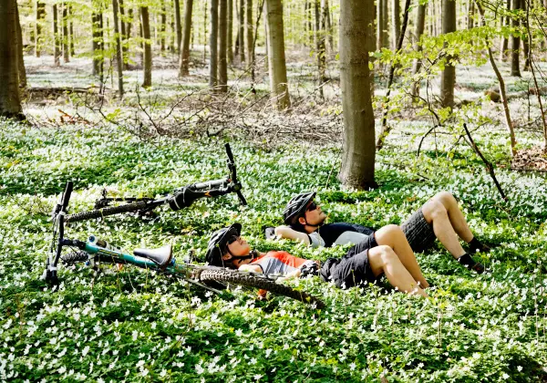 werrapark-resort-hotel-heubacher-hohe-5-tage-mountainbike-touren-im-thuringer-wald-mit-halbpension